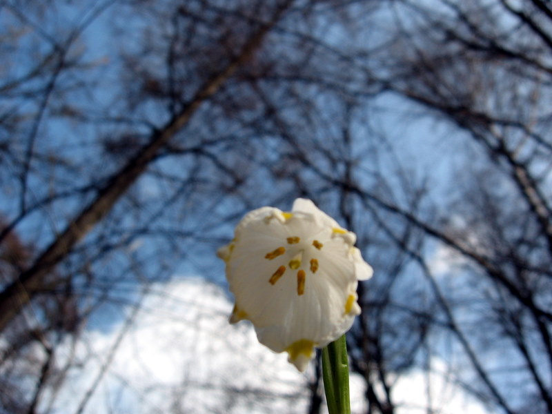 Ochrana životního prostředí na webu
