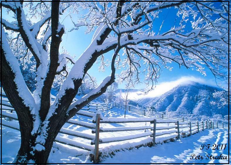 Joyeux Noël et Bonne Année!