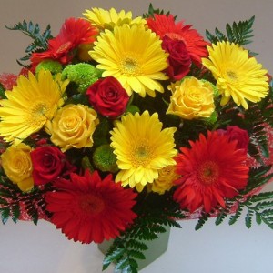 Výsledky školního kola konverzační soutěže