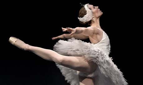 Labutí jezero v Janáčkově divadle