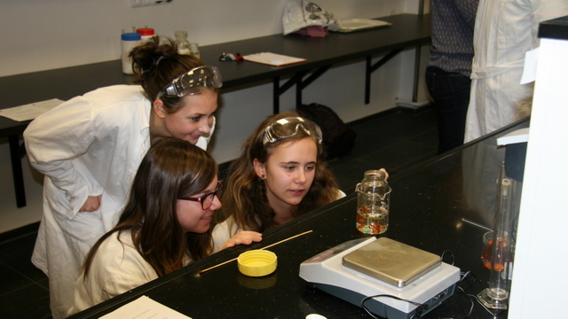 Témata ročníkových prací z chemie 2017/18