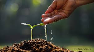 Témata ročníkových prací z biologie