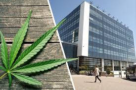 Host z University of Derby