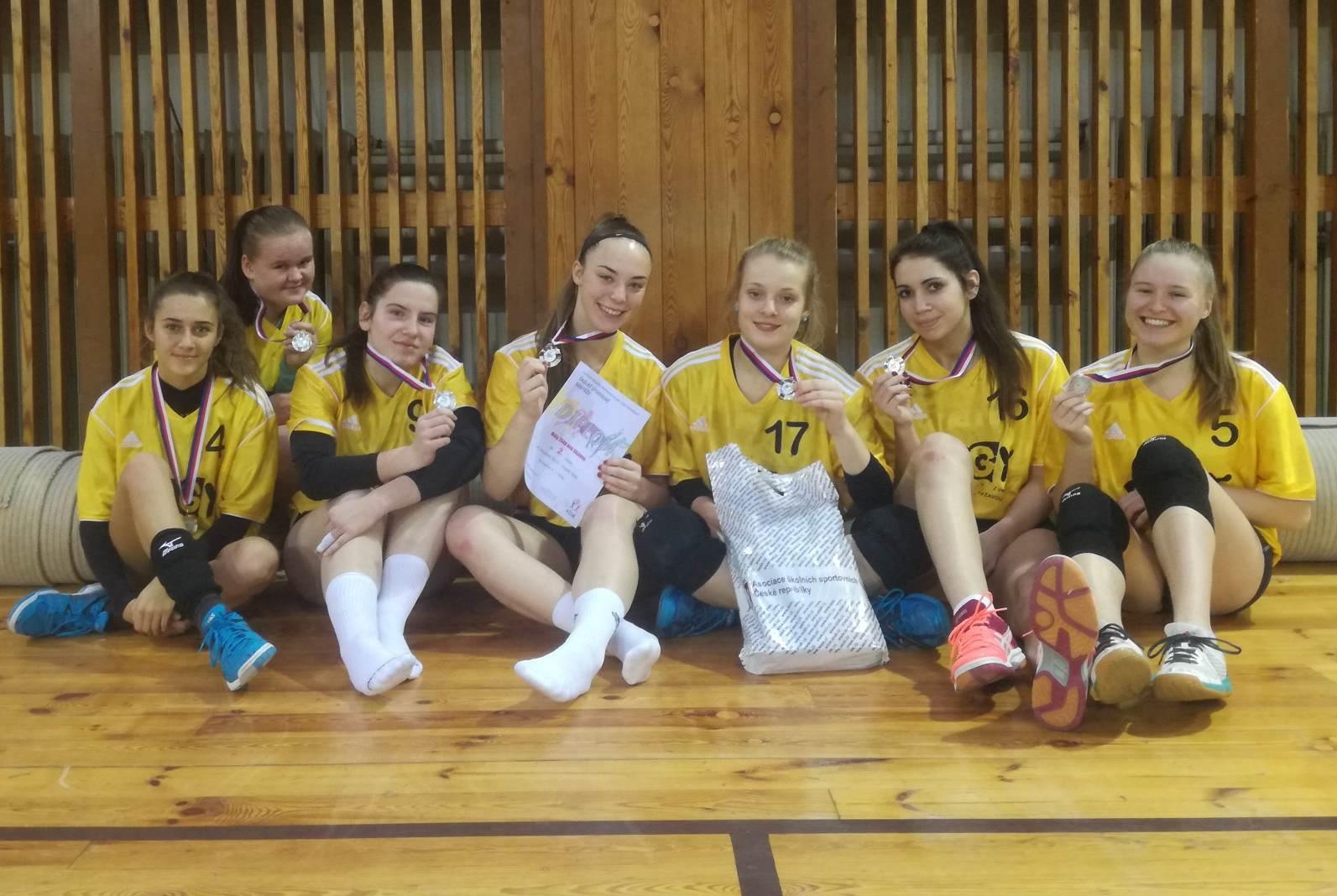Volejbalové stříbro v kraji