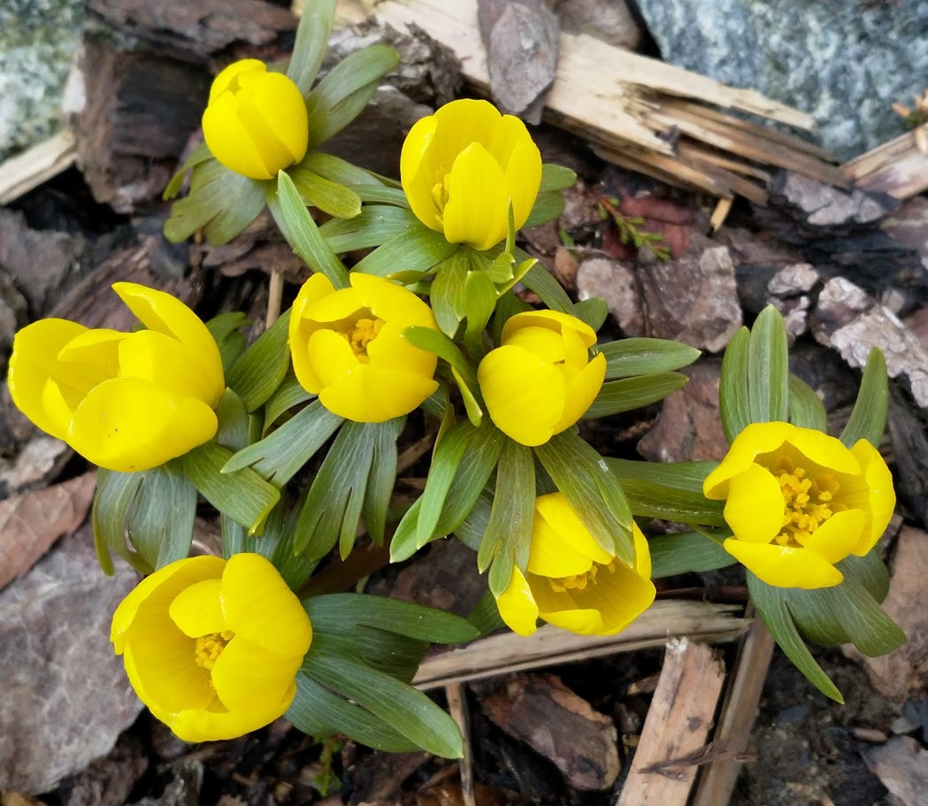 Studenti úspěšně ukončili jarní strategickou hru