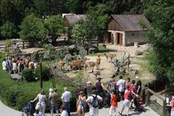 Angličtina v zoo