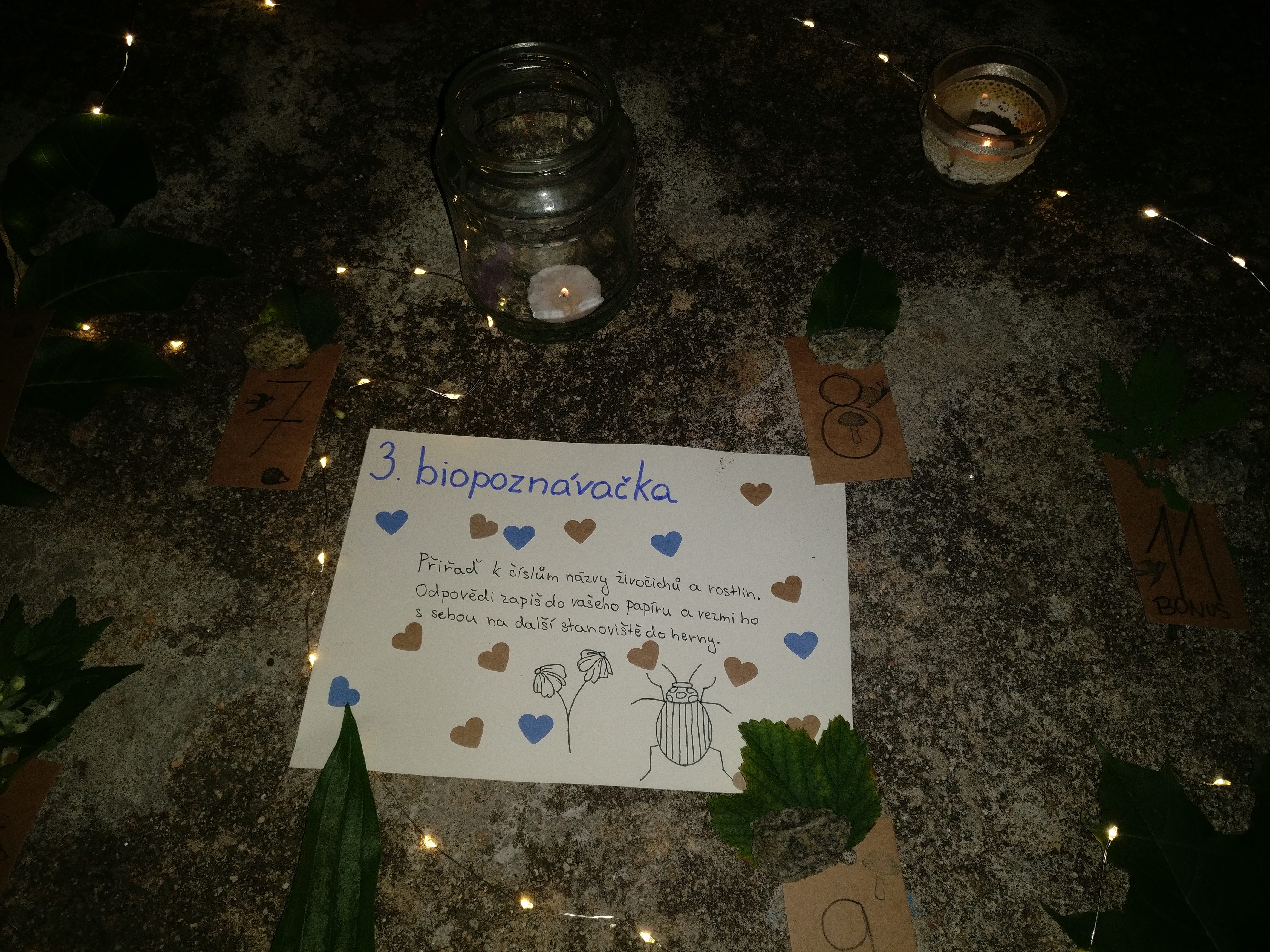 Přírodovědný kemp pro primu 2022