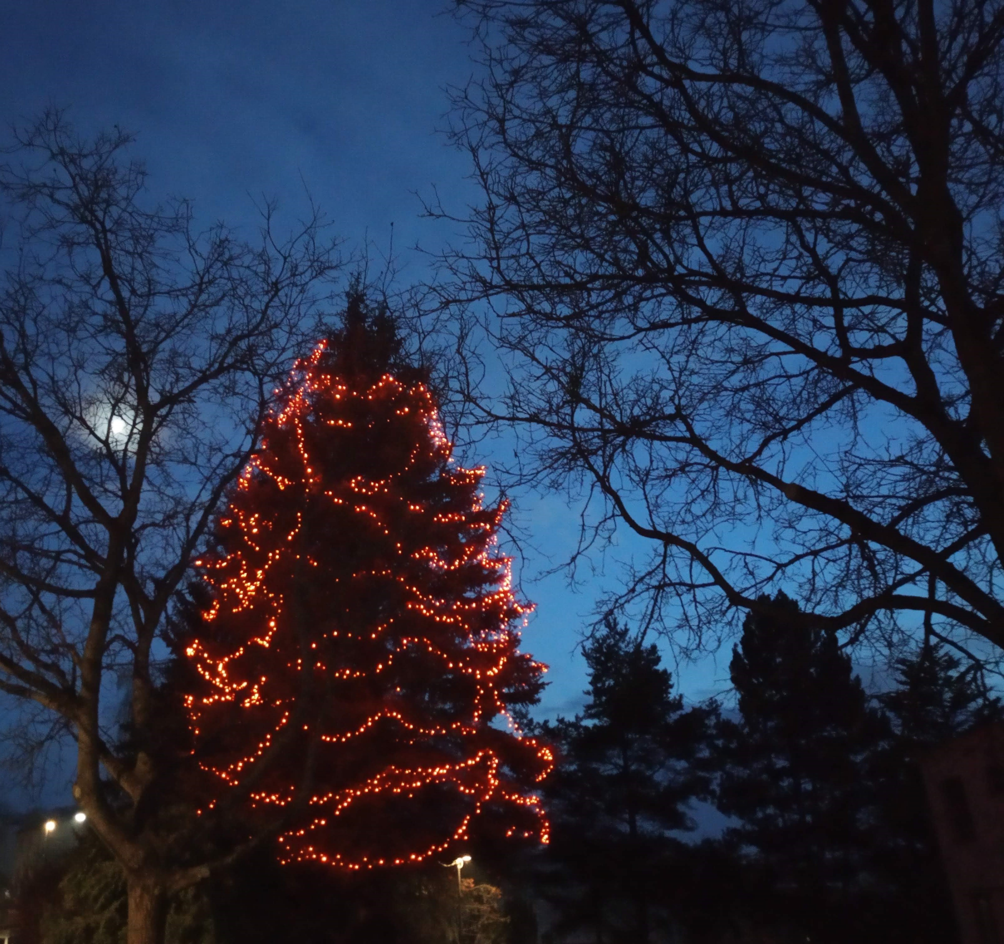 V zámku se rozezní tóny královského nástroje