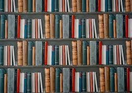 Nové knihy ve školní knihovně